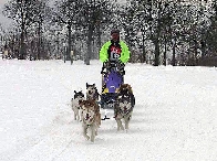 2003 schlittenhunde016.jpg